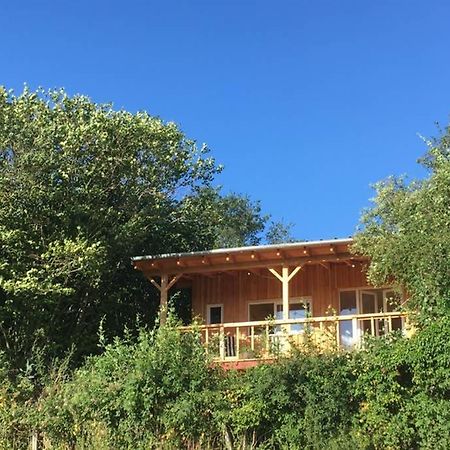 Chalet Panoramique Et Moderne Tout Confort Saizy 外观 照片