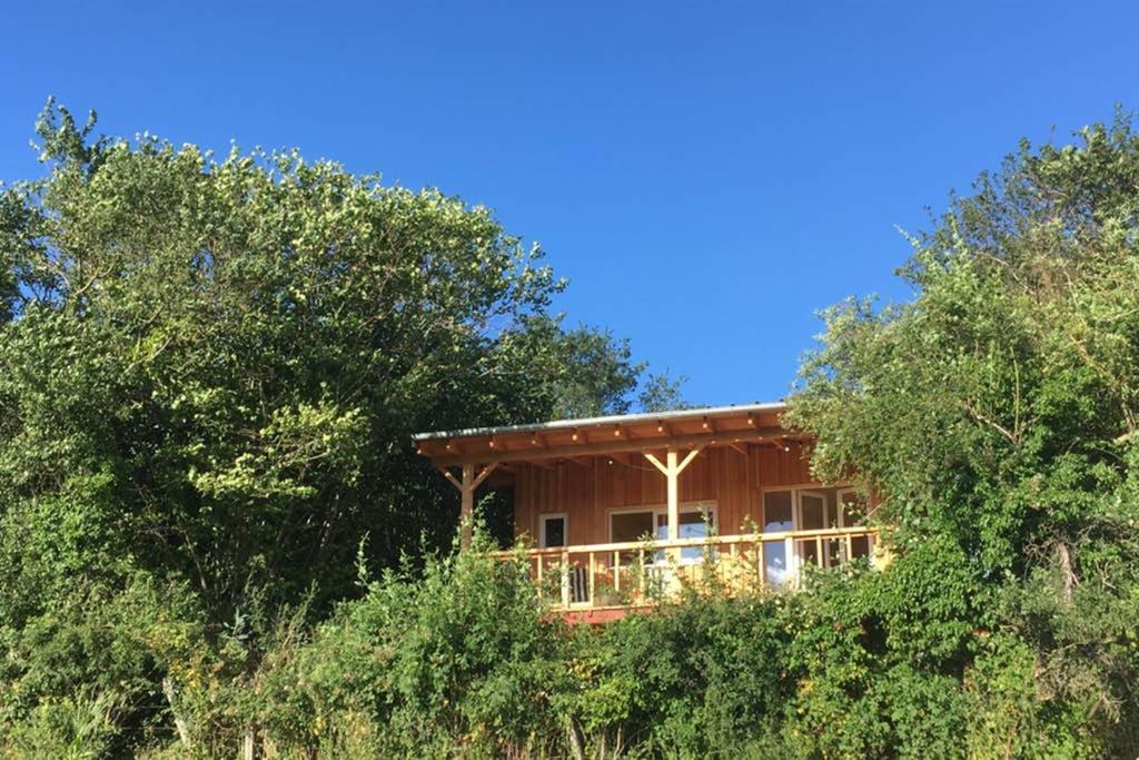Chalet Panoramique Et Moderne Tout Confort Saizy 外观 照片