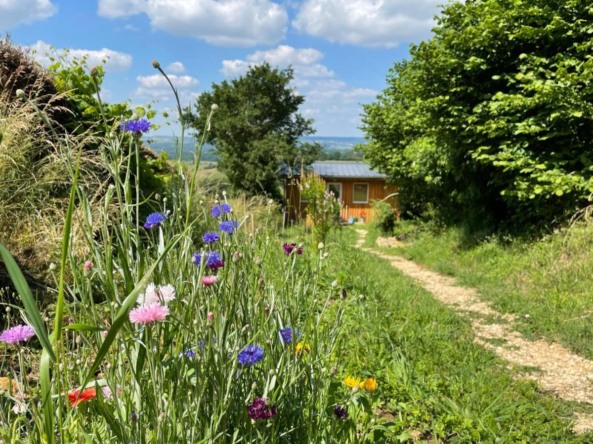 Chalet Panoramique Et Moderne Tout Confort Saizy 外观 照片